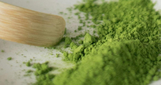 Why We Created Align Matcha: A New Ritual for a New Generation